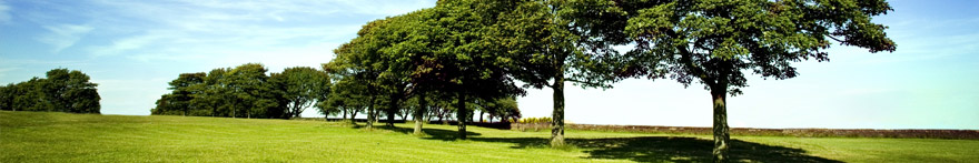 Hayat Sigortaları Hayat Sigortaları